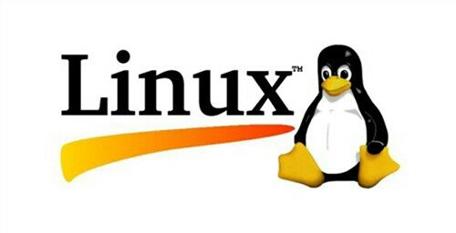 Linux的环境安装配置